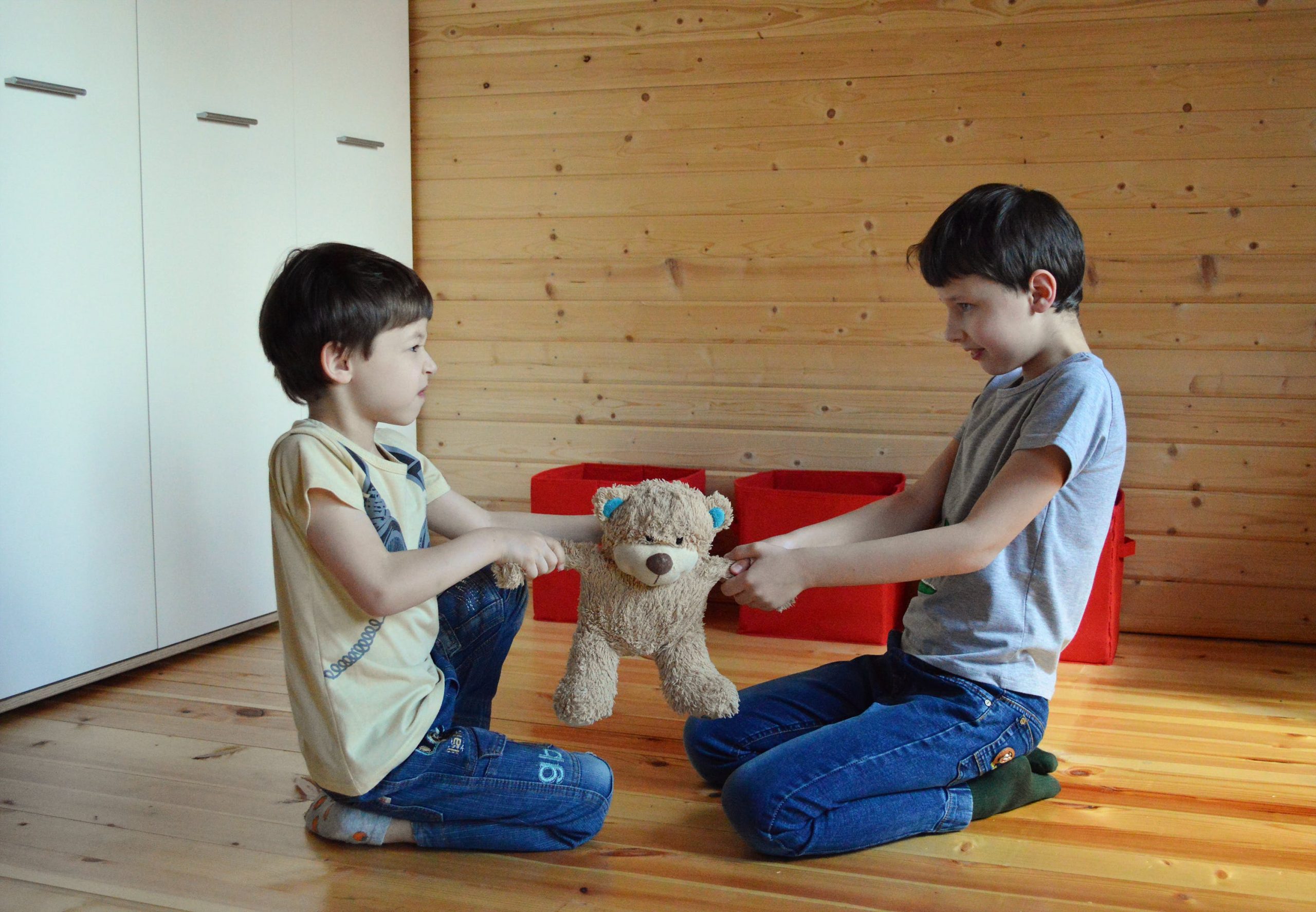 Two boys sitting on a wooden floor playing tug of war with a teddy bear indoors. 